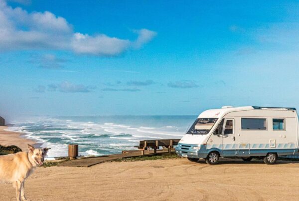 Portugal mit dem Wohnmobil und Hund, camping mit hund, wildcampen portugal, Hunde am meer