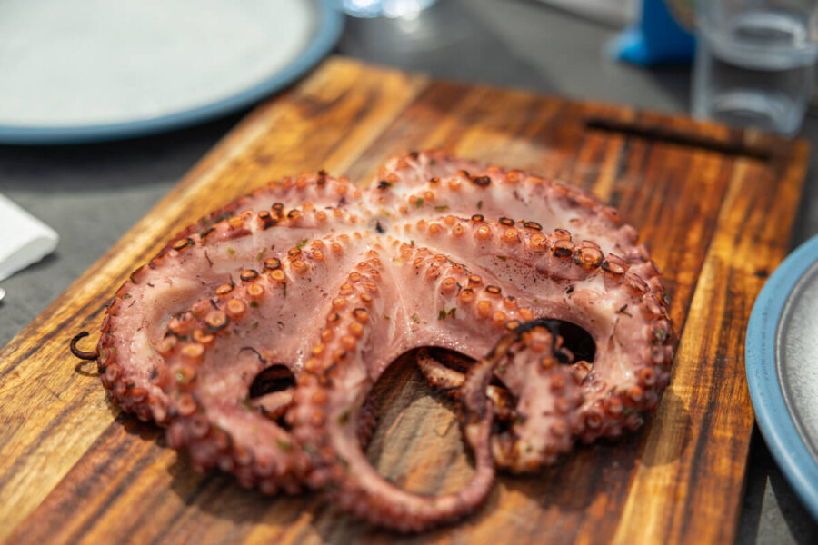 Oktopus vom Grill - Canis Road